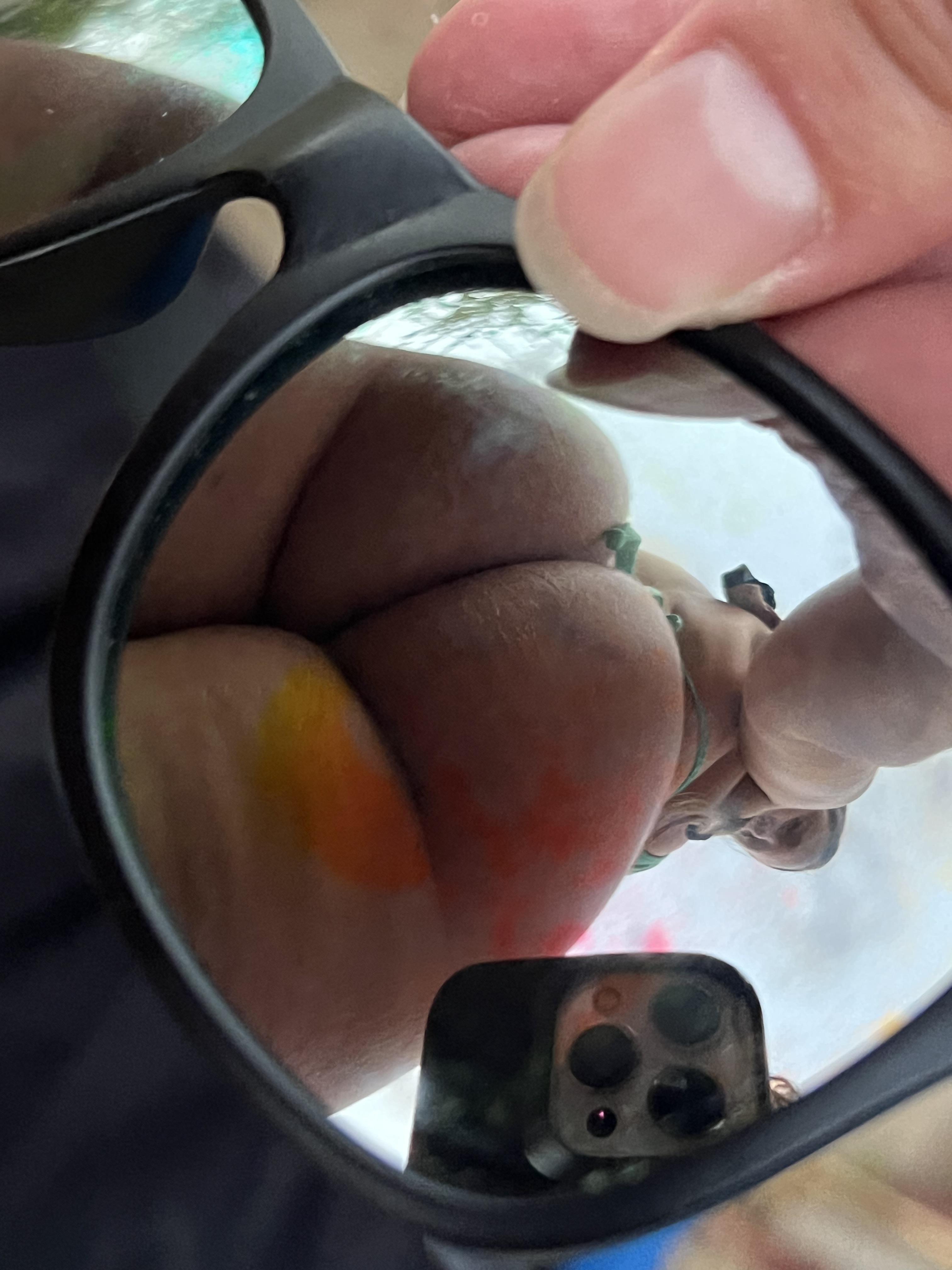 Do you like my glasses?
