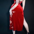 Ada Wong on/off cosplay from Resident Evil 4 by Felicia Vox