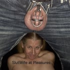 Younger Bisexual Bull Las Vegas 50’s couple