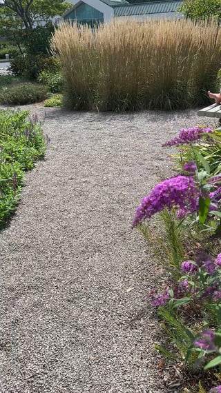 Barefoot in the butterfly garden
